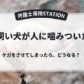 飼い犬が人に噛みついた